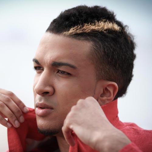 English Speakers Is It Streak Or Patch Of Hair