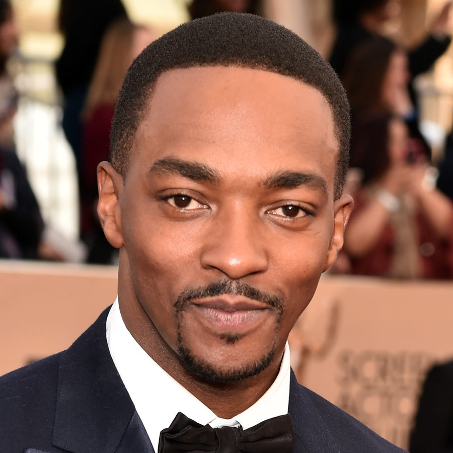 27 Celebrity Hairstyles For Men 2016 - Men's Hairstyle Trends 8. Anthony Mackie - 27 Celebrity Hairstyles For Men 2016 - Men's Hairstyle Trends