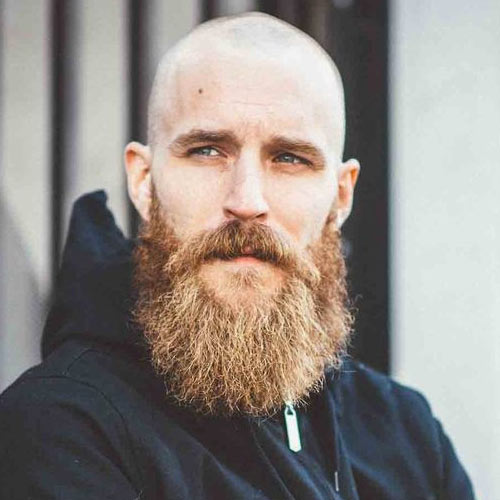 Shaved-Head-with-Full-Beard-Hipster
