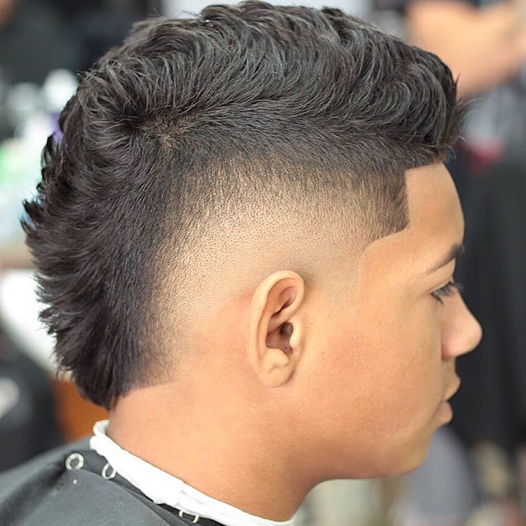 jncuts_en faux havik