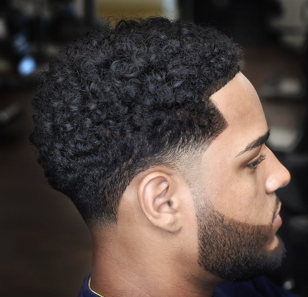 Curly Hair Taper Fade Black Fade Haircuts For Cool Curly Hair | My XXX ...