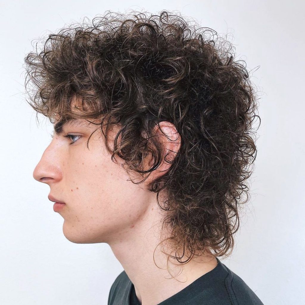 Bob Dylan rizado corte de pelo shag hombres